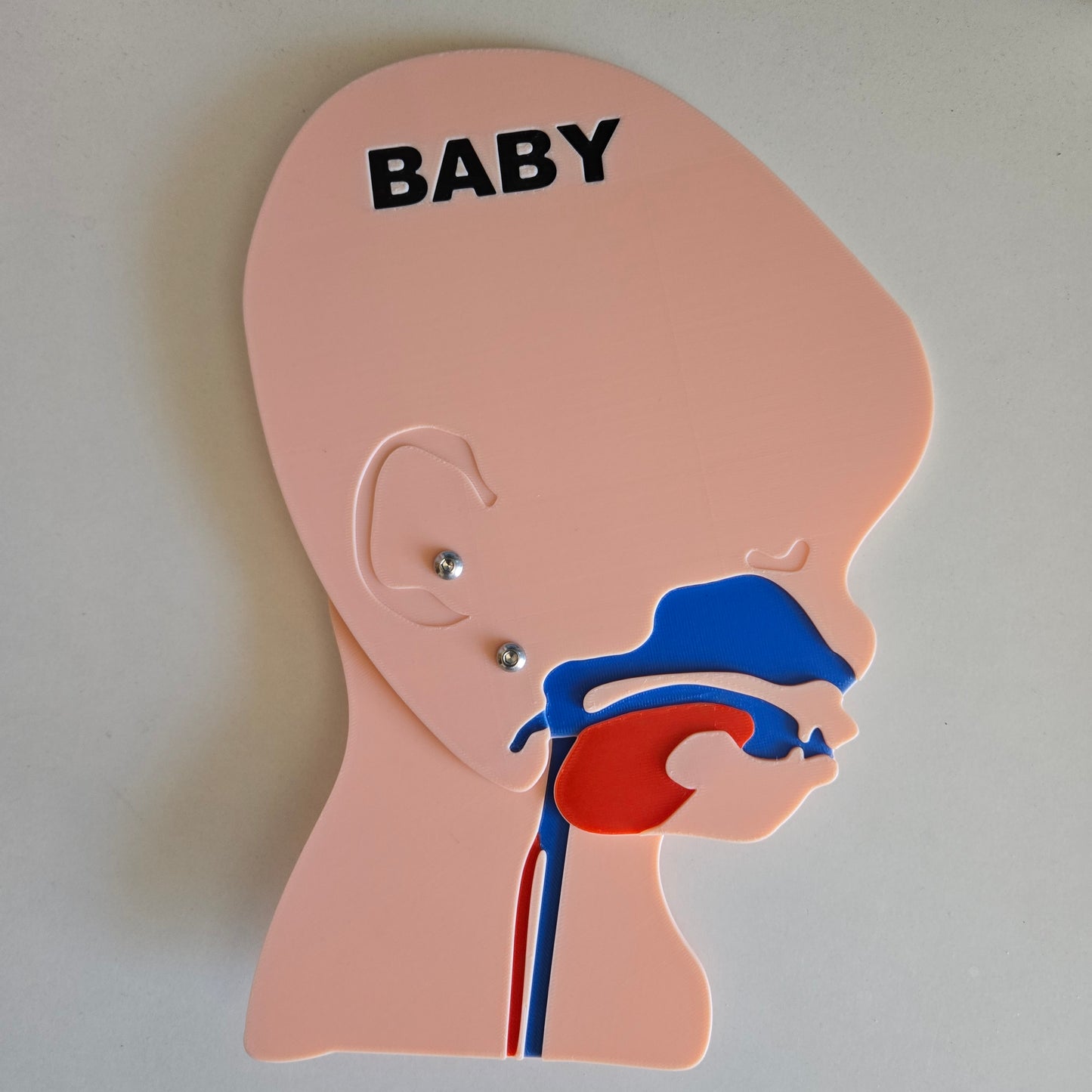 Baby head model