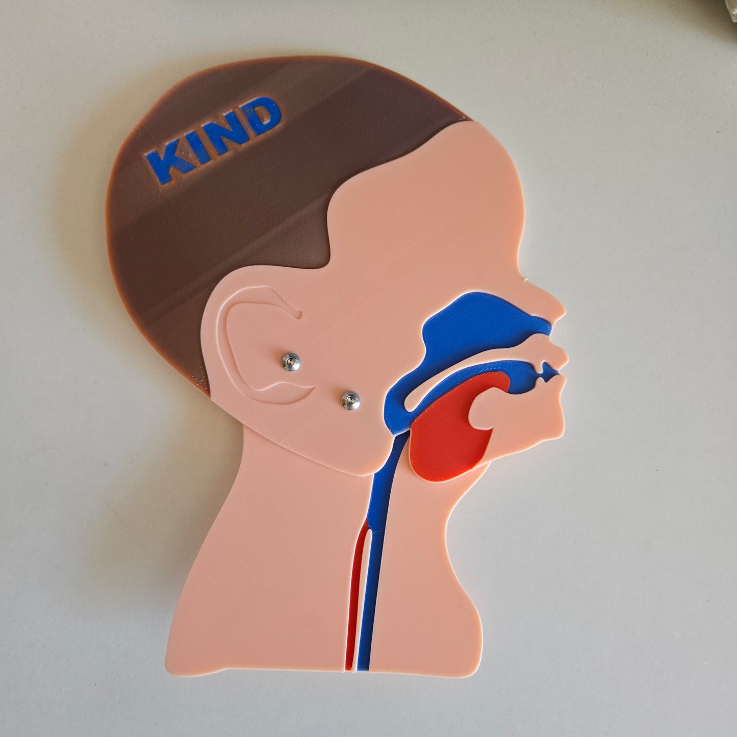 Head Cut Model Adult Child Bundle