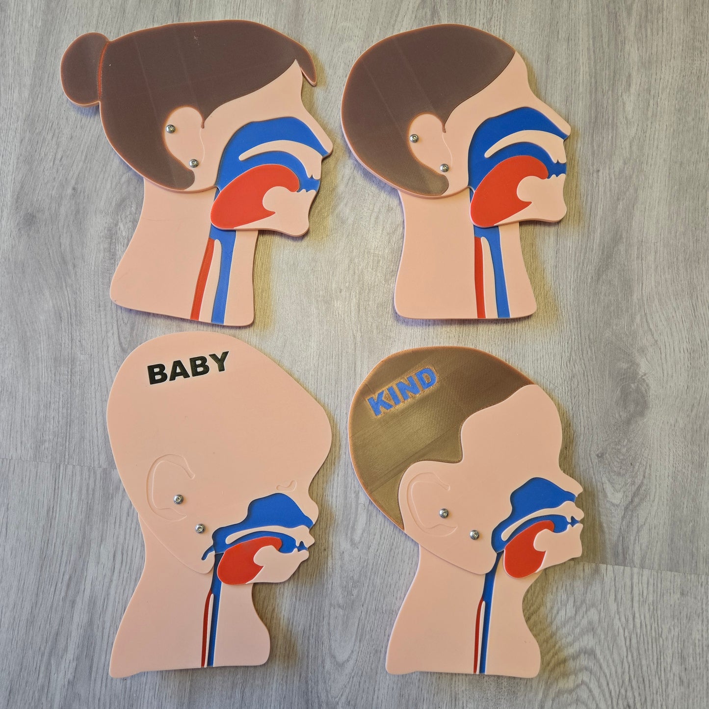 Headshot Model Family Bundle