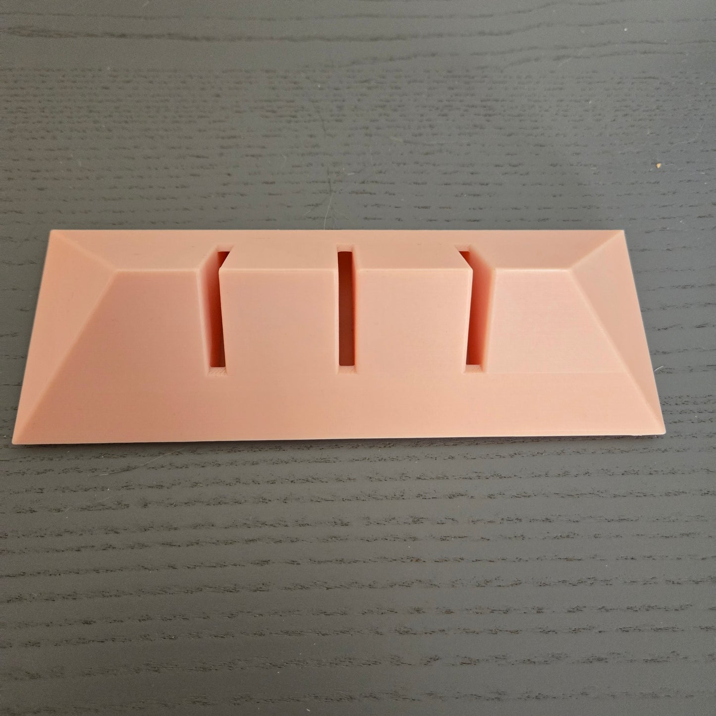 Holder for head models