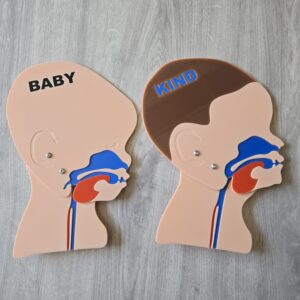 Kopfschnittmodell Kind Baby Bundle