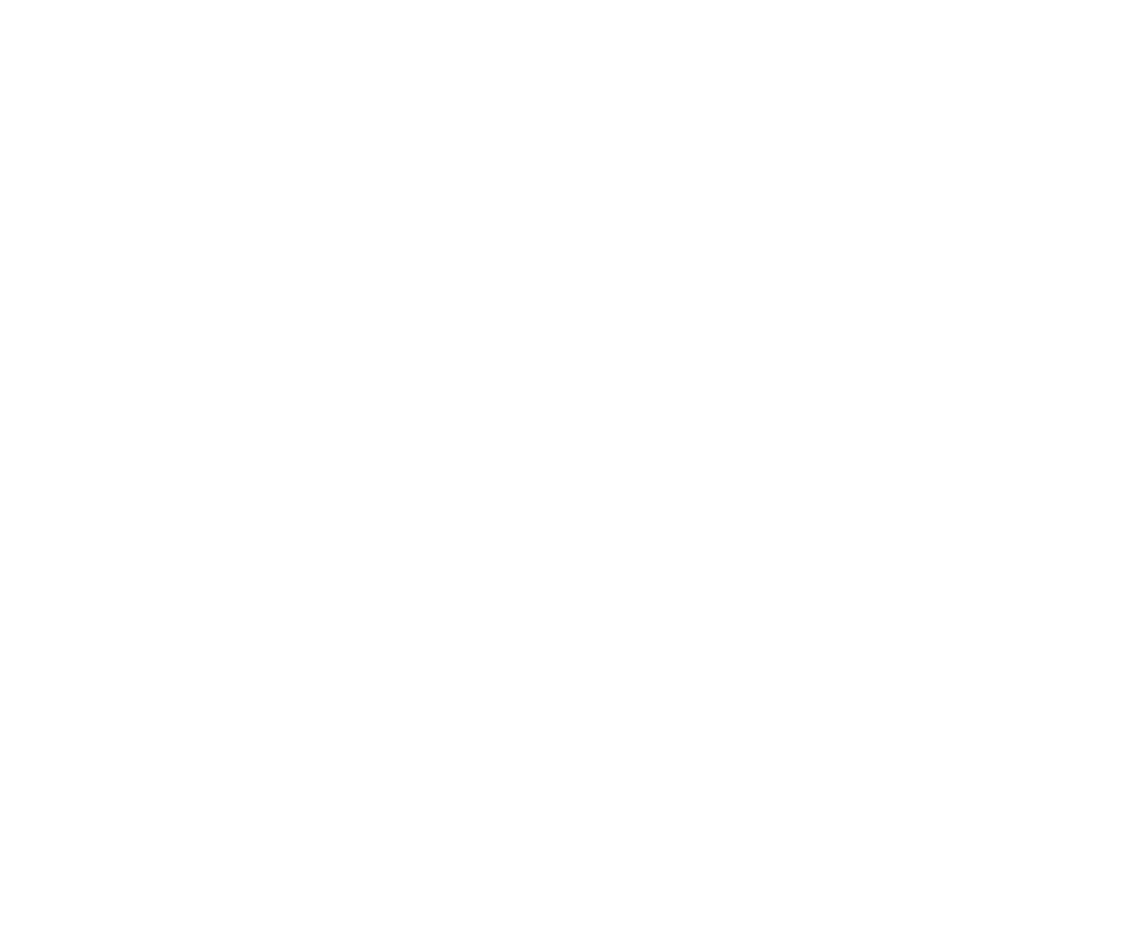 Sina logo white