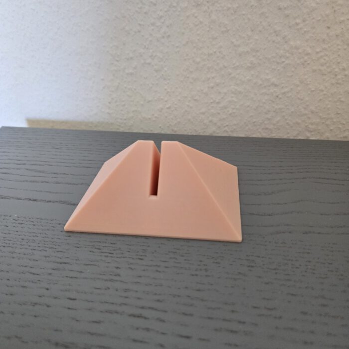 Kopfschnittmodell Erwachsen Weiblich – Bild 4