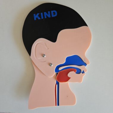 Kopfschnittmodell Kind B-Ware