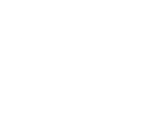 Sina logo white 300x247