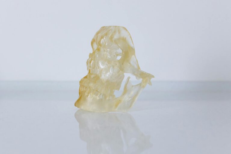 Close-up of a translucent resin skull model on a reflective surface.